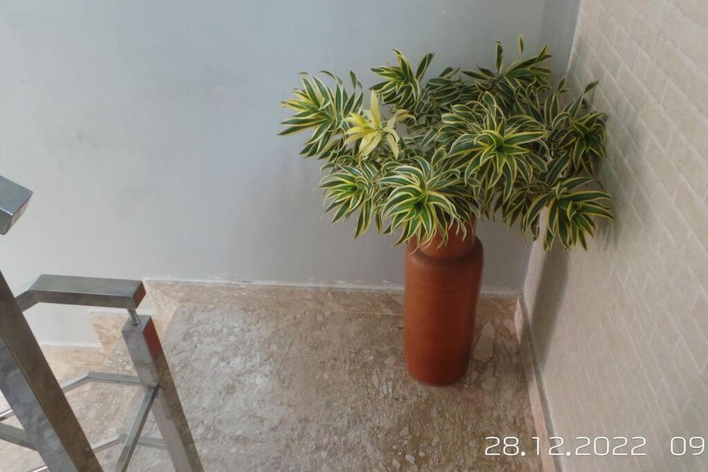 Excelente Casa Com Piscina Villa Camaçari Buitenkant foto